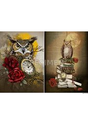 Кликните для увеличения изображения